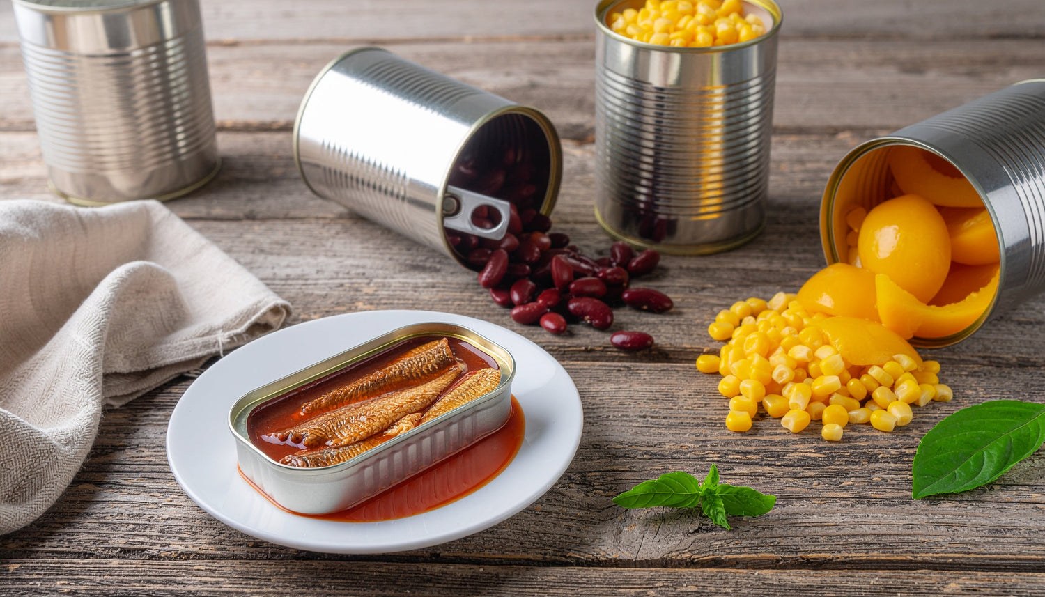 CONSERVES DE POISSONS