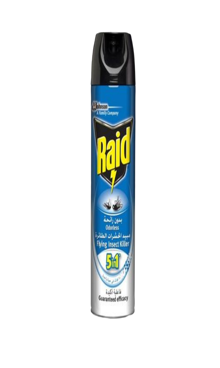 Raid Insecticide Sans Odeur 5in1 300ML
