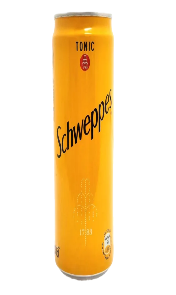Schweppes Tonic Canette 25CL