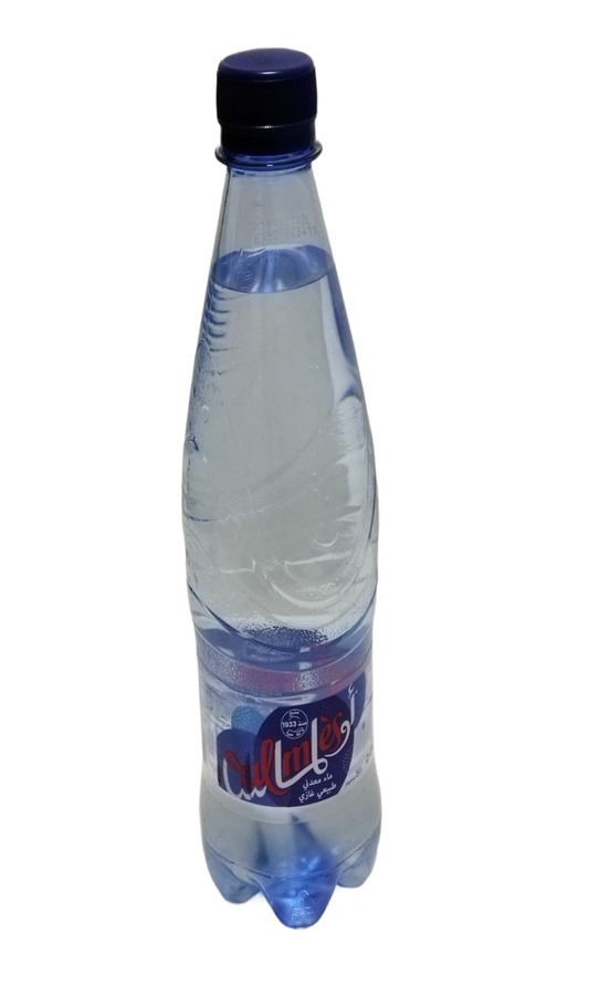 Eau Minérale Gazeuse Oulmes 50CL
