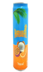 Hawai Tropical Canette 25CL
