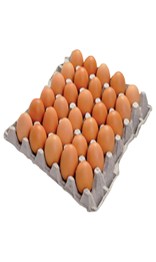 Plateaux D'Oeufs 1x30P