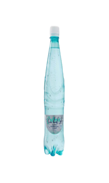 Eau Minérale Gazeuse Legere Oulmes 12x50CL