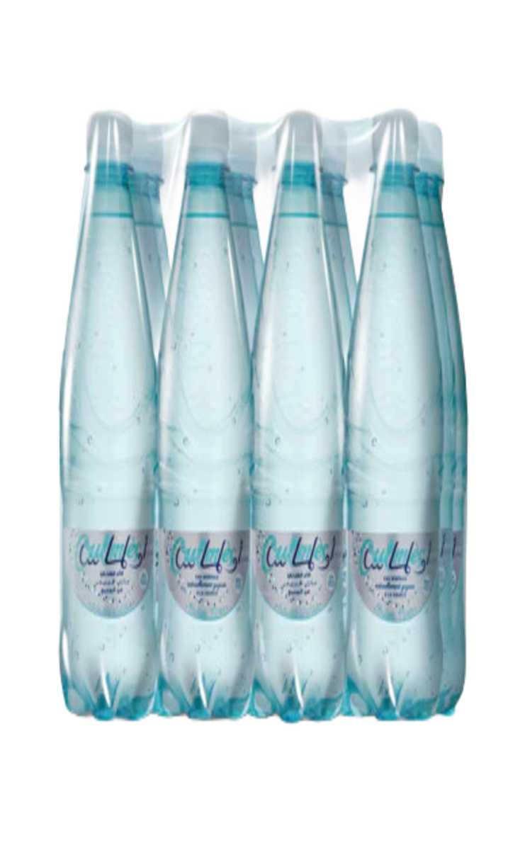 Eau Minérale Gazeuse Legere Oulmes 12x50CL