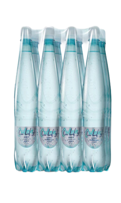 Eau Minérale Gazeuse Legere Oulmes 12x50CL