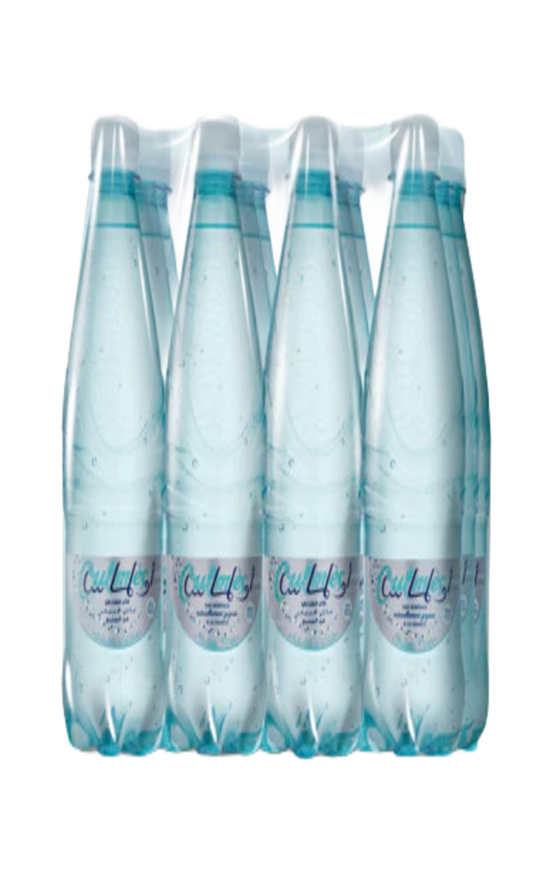 Eau Minérale Gazeuse Legere Oulmes 12x50CL