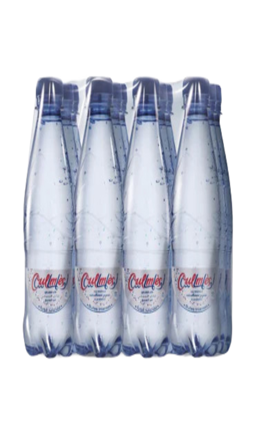Eau Minérale Gazeuse Oulmes 12x33CL