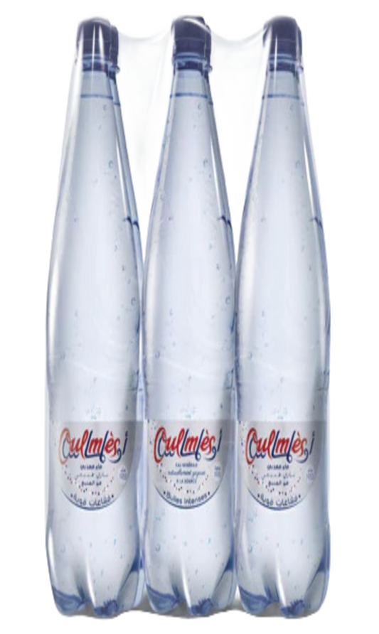Eau Minérale Gazeuse Oulmes 6x1L