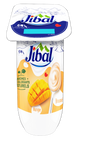 Jibal Yogurt Brassé Mangue 110G