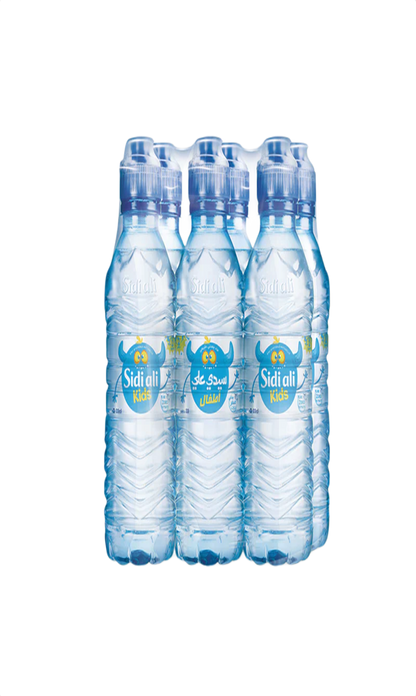 Eau minéral naturelle Sidi Ali Kids 6x33CL