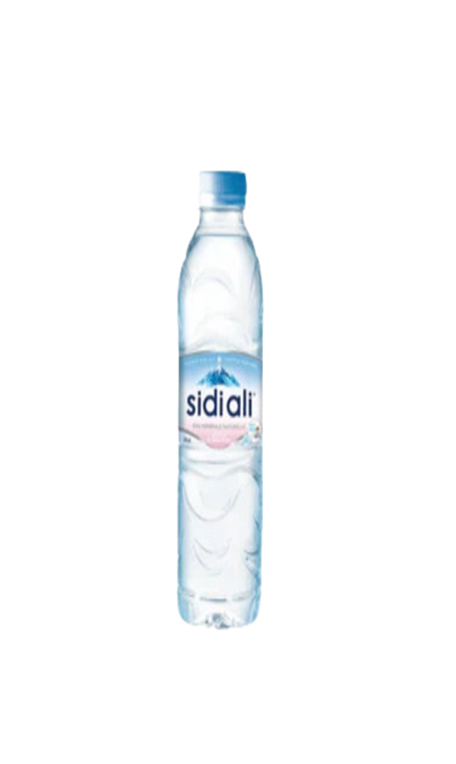 Eau Minérale Naturelle Sidi Ali 12x50CL
