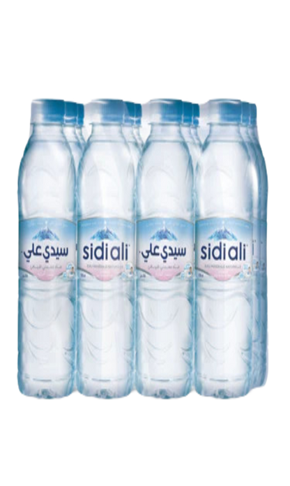 Eau Minérale Naturelle Sidi Ali 12x50CL
