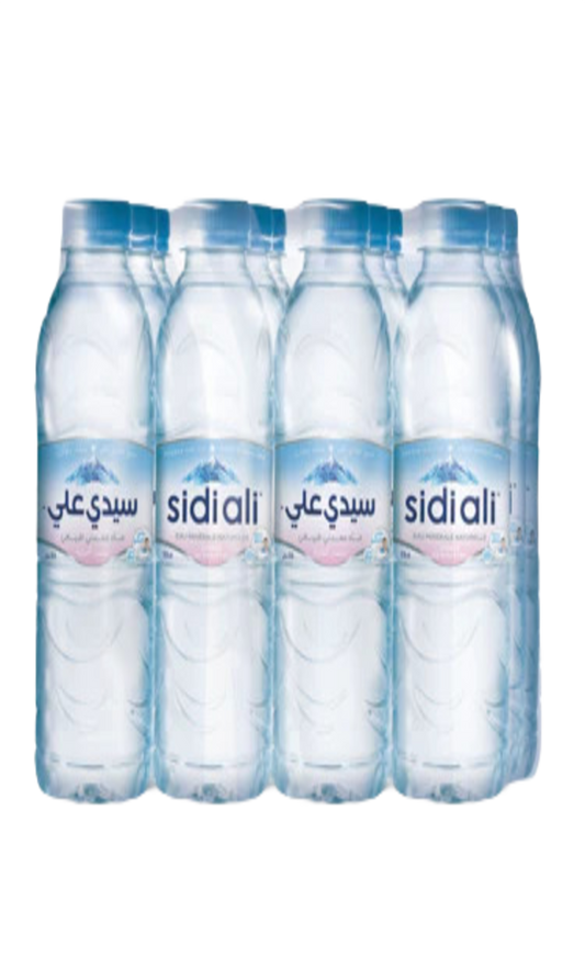 Eau Minérale Naturelle Sidi Ali 12x50CL