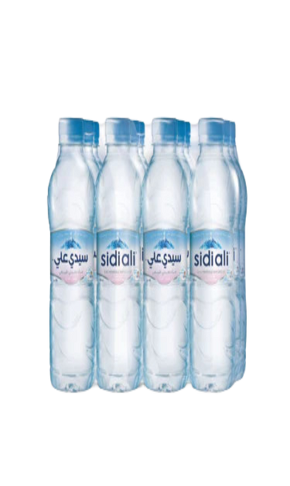 Eau Minérale Naturelle Sidi Ali 12x33CL